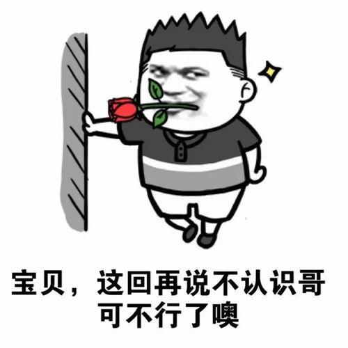 我要拘捕你表情包,网络时代的幽默与讽刺  第2张