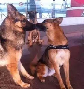 单身狗搞笑动图,笑出腹肌的单身日常 第3张 单身狗搞笑动图,笑出腹肌的单身日常 第3张