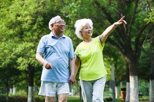 老人味,揭秘老人味的独特魅力 第3张 老人味,揭秘老人味的独特魅力 第3张