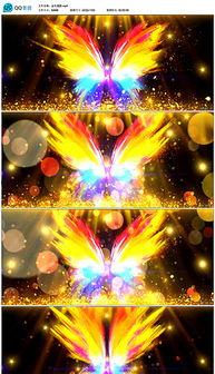 t台秀背景图片,捕捉T台秀的璀璨瞬间  第2张